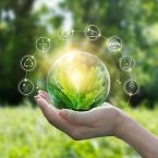 phat-trien-ben-vung Phát Triển Bền Vững - Phú Vĩnh Hưng 3